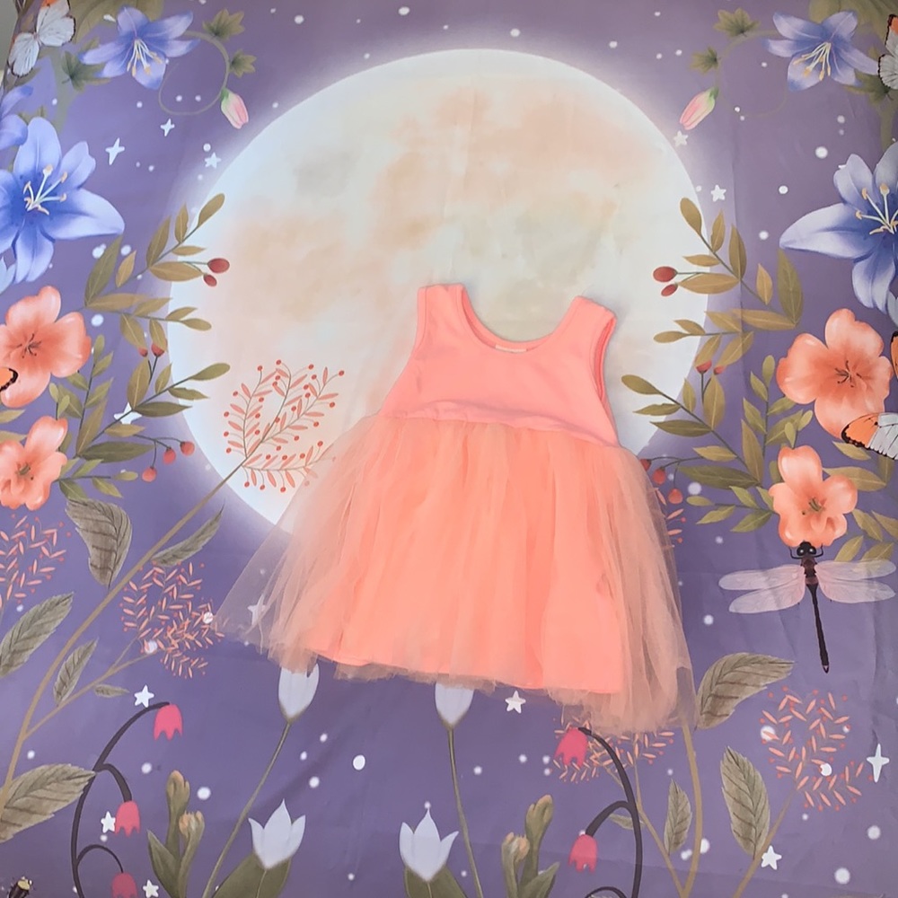 Beautiful Muted Coral Tutu Dress